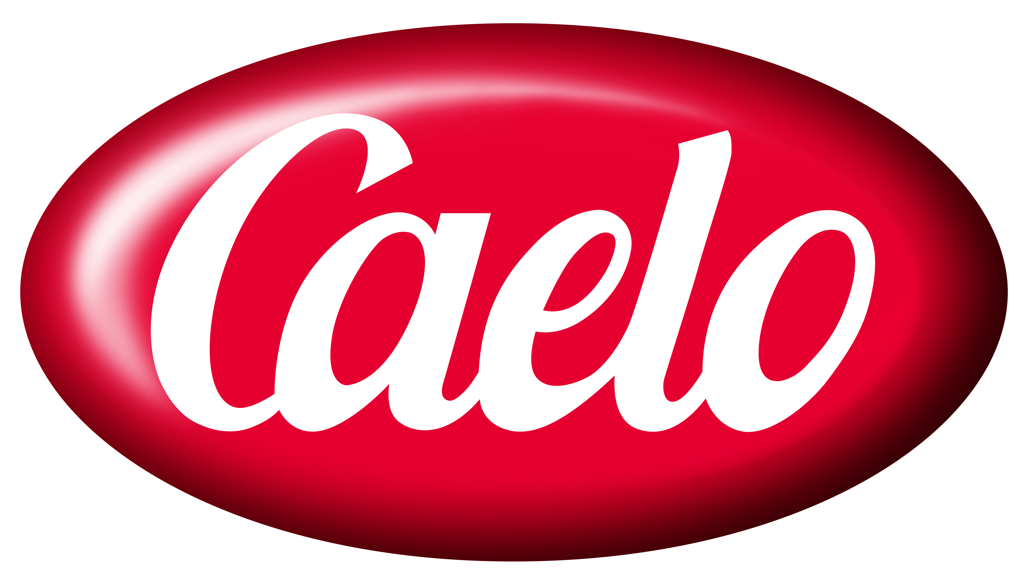 CA-5247-1KG (2)