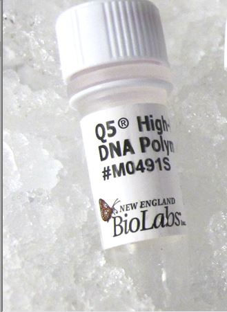 NE-M0491S (1)