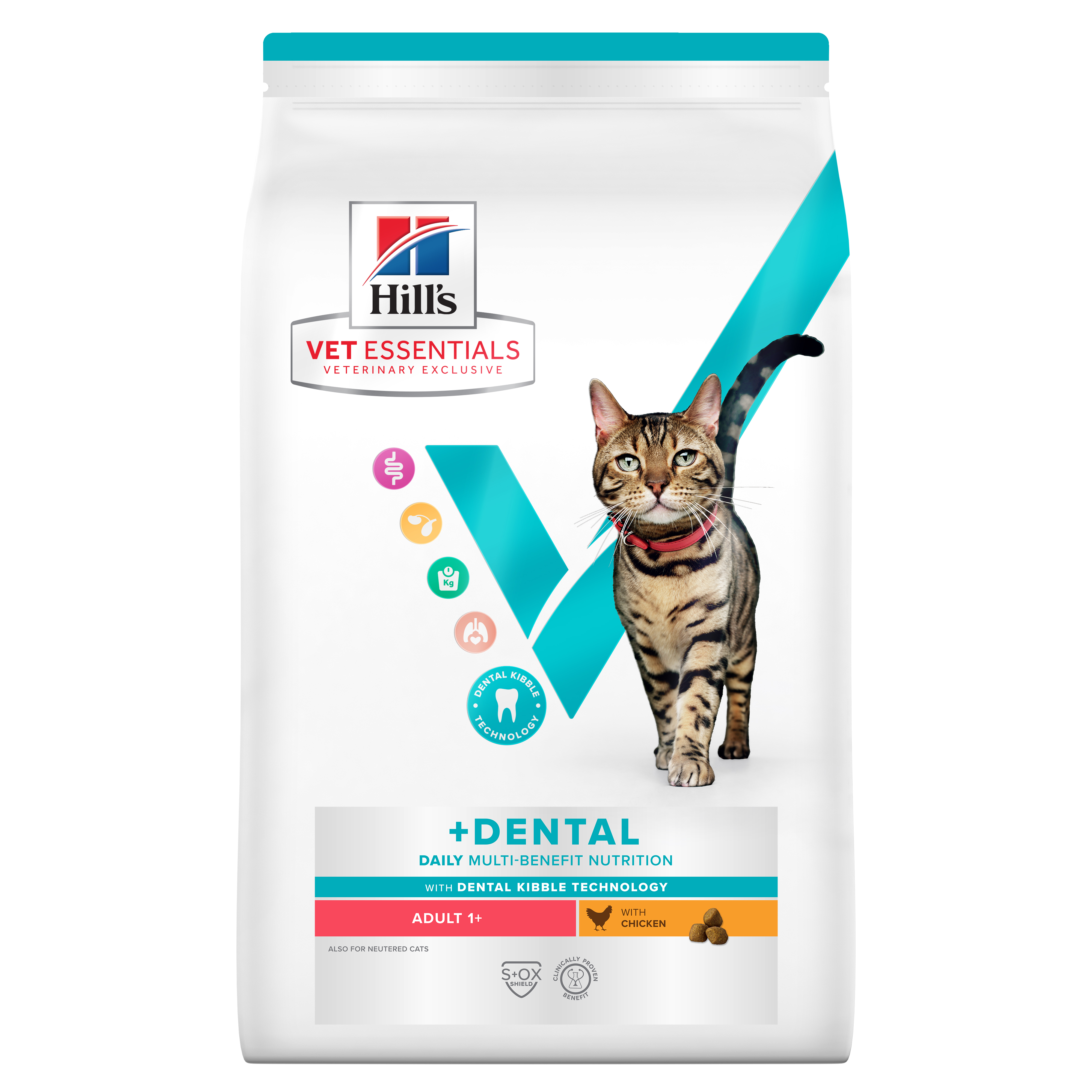 607520H (1)